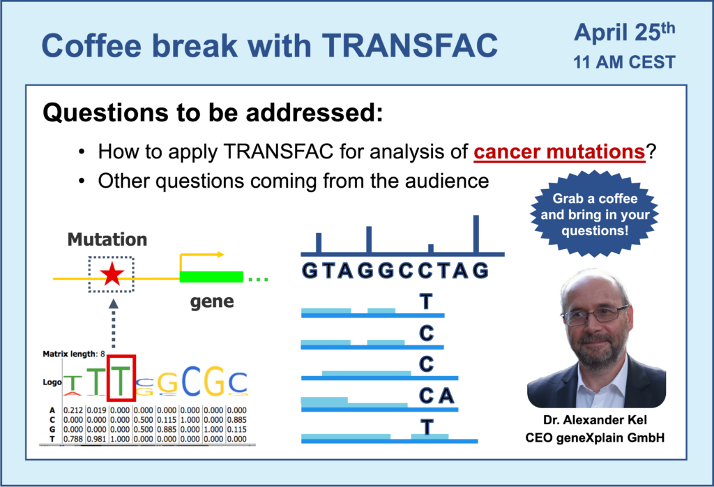 How to apply TRANSFAC for analysis of cancer mutations