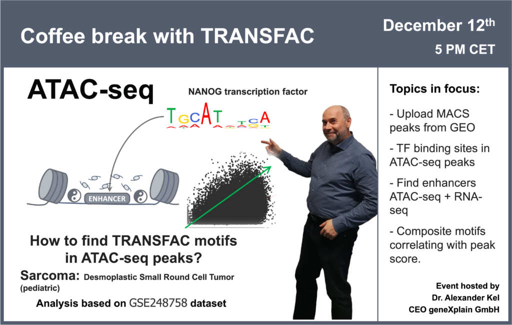 How to find TRANSFAC motifs in ATAC-seq peaks?