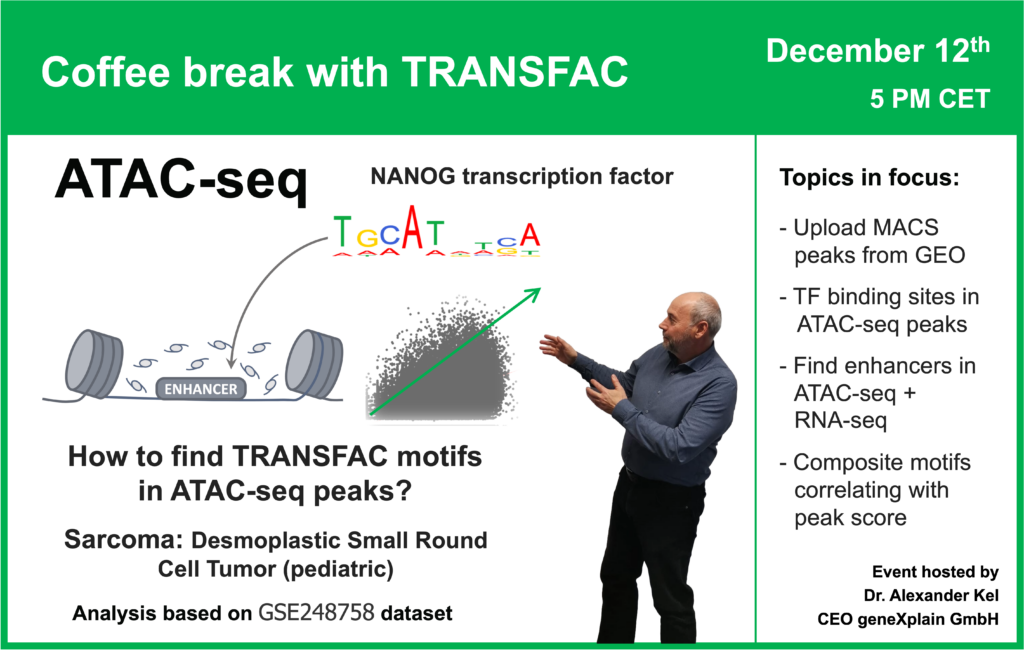 How to find TRANSFAC motifs in ATAC-seq peaks