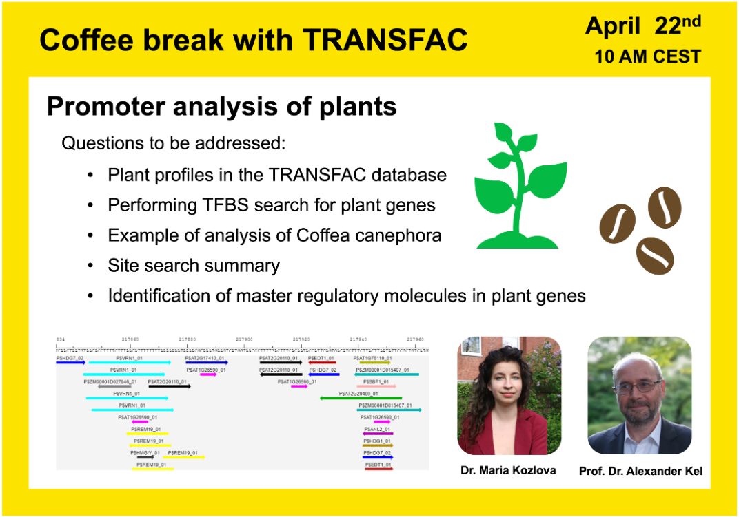 Promoter analysis of plants