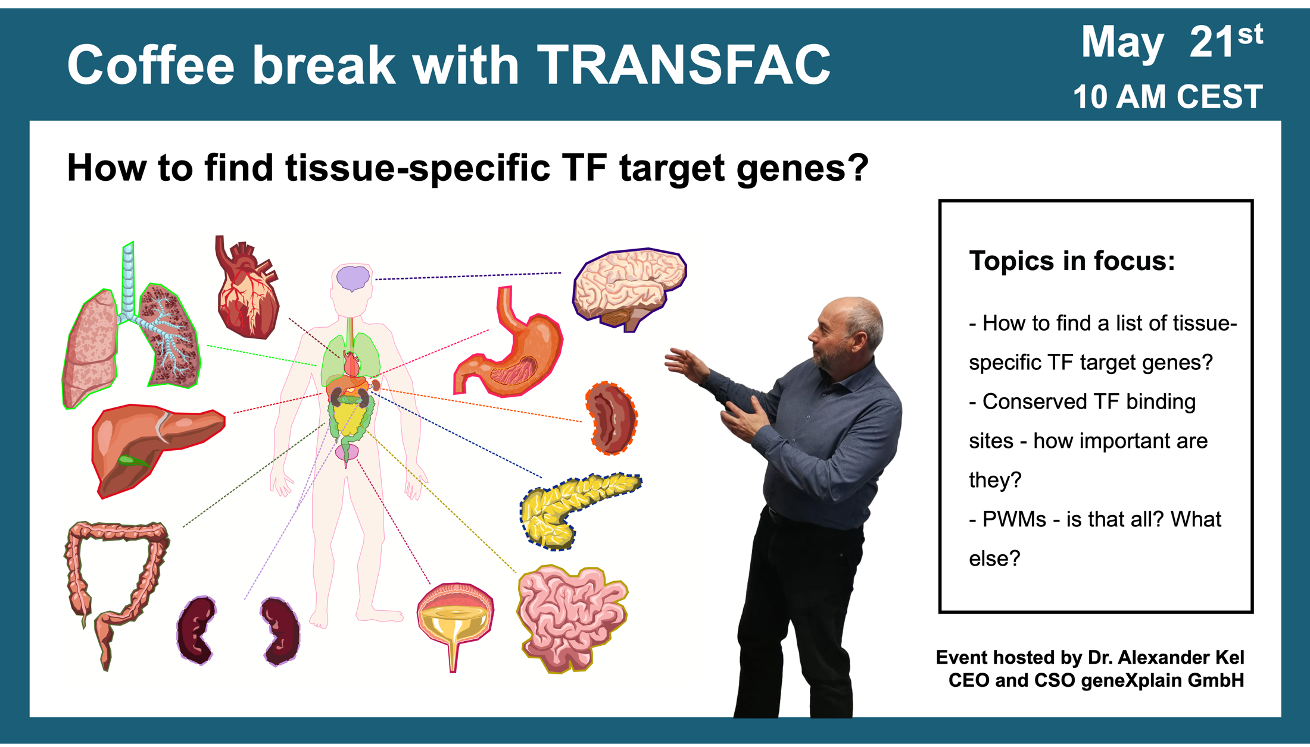 Tissue specific TF target genes