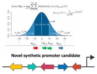 Synthetic promoters design